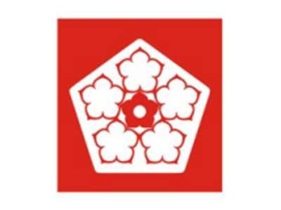 五边形花图形