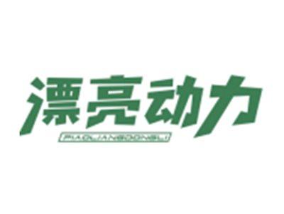 漂亮动力PIAOLIANGDONGLI