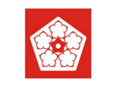 五边形花图形
