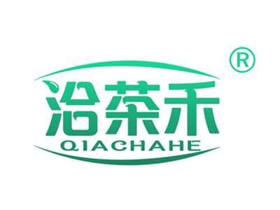 洽茶禾