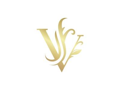 字母V