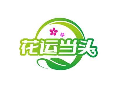 花运当头