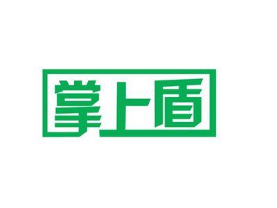 掌上盾