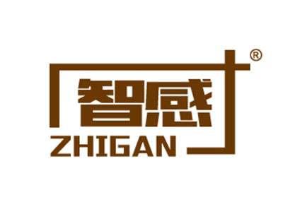 智感