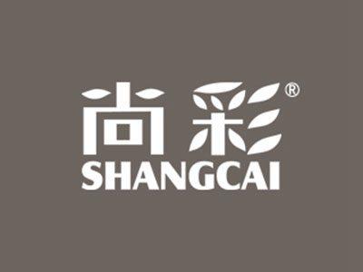 尚彩