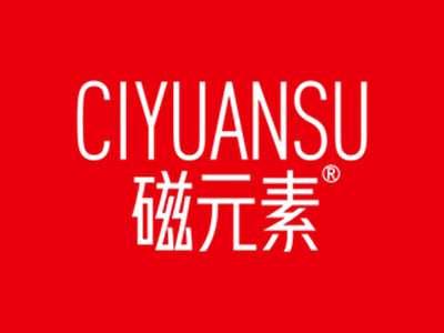 磁元素
