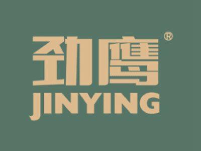 劲鹰