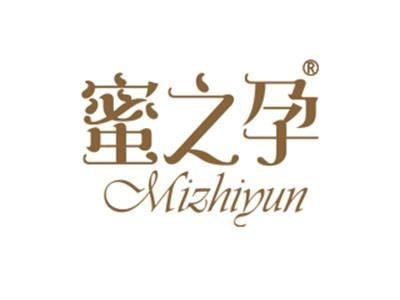 蜜之孕