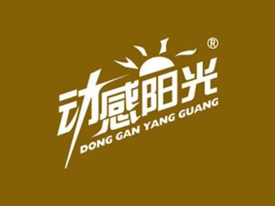 动感阳光