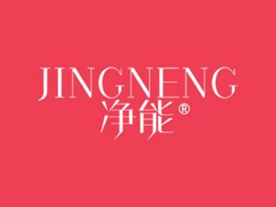 净能