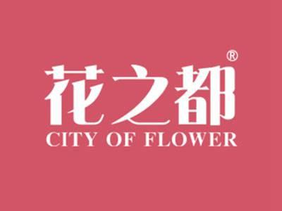 花之都CITYOFFLOWER