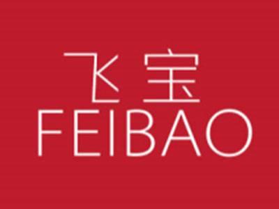 飞宝