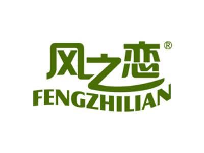 风之恋