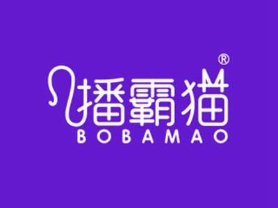播霸猫