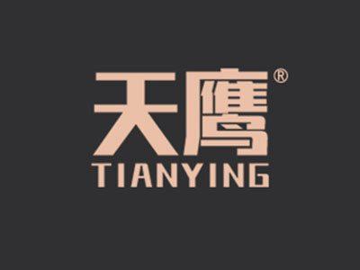 天鹰
