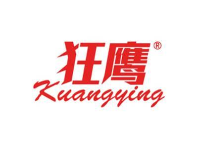 狂鹰