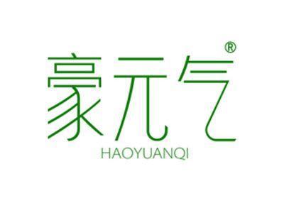 豪元气