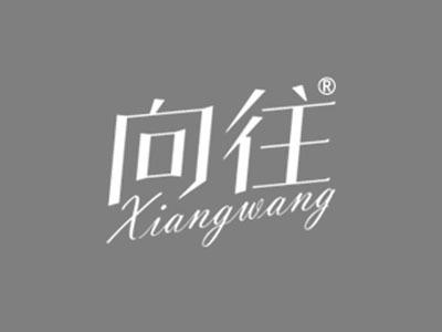 向往