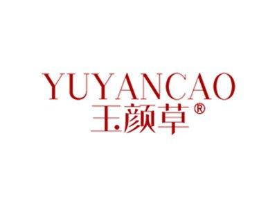 玉颜草