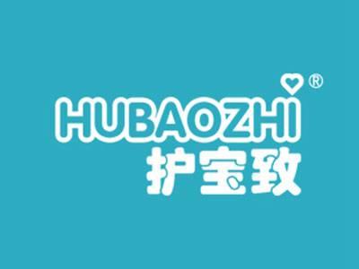 护宝致