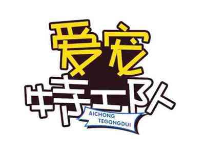 爱宠特工队