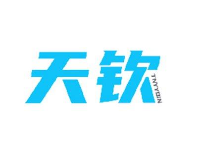 天钦