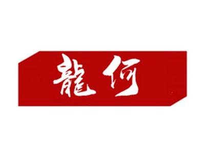 龙何
