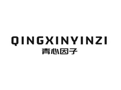 美丽轴心