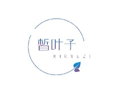皙叶子