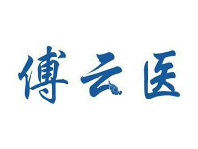 傅云医