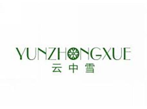 云中雪