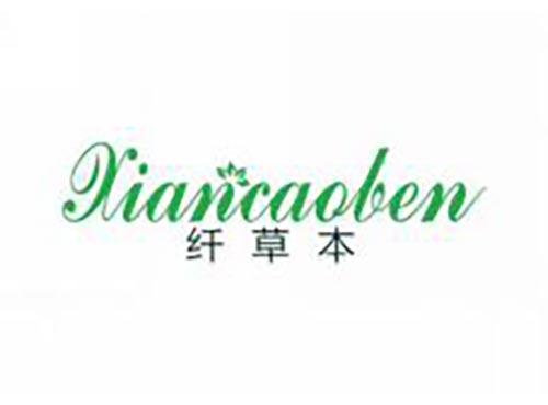纤草本