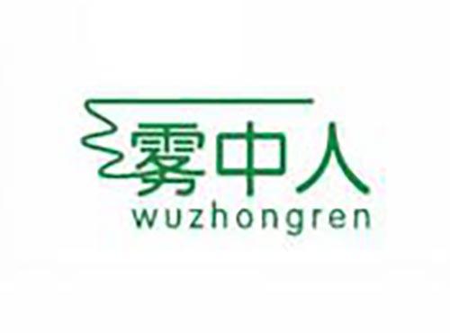 雾中人