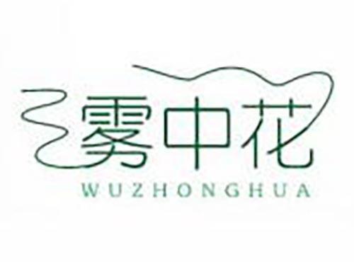 雾中花