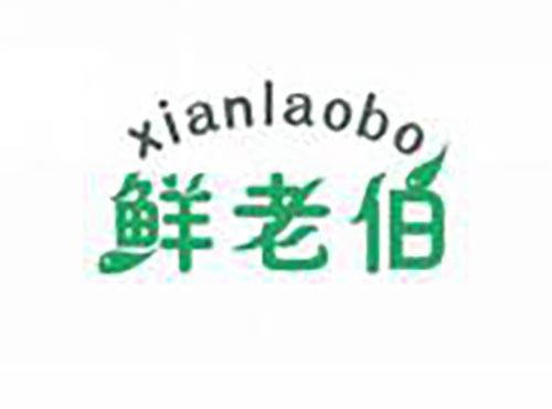 鲜老伯