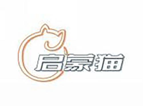 启蒙猫