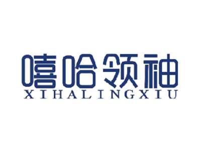 嘻哈领袖