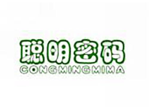 聪明密码
