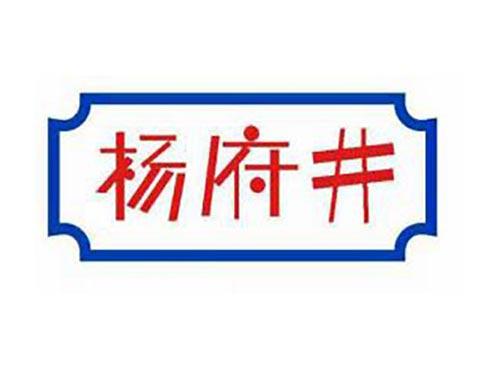杨府井