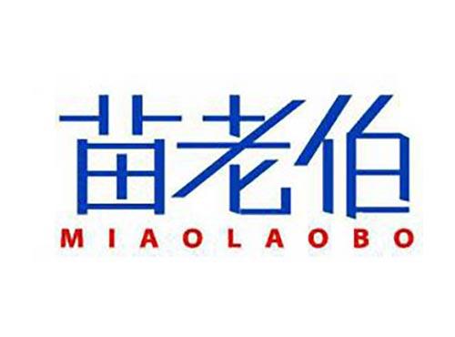 苗老伯