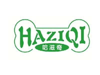 哈滋奇