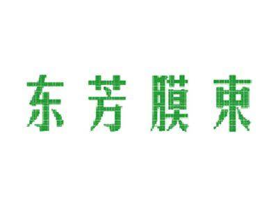 东芳膜束