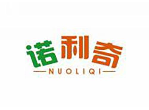 诺利奇