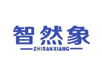 智然象