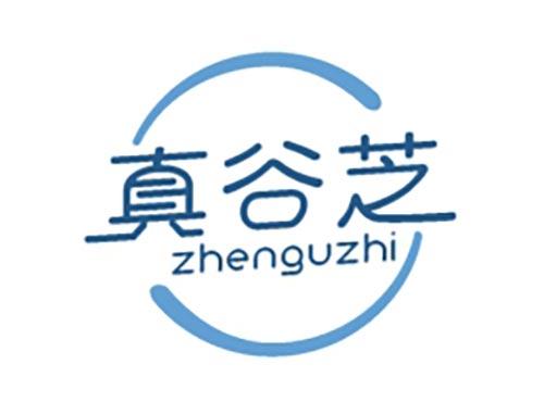 真谷芝