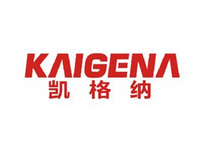 凯格纳