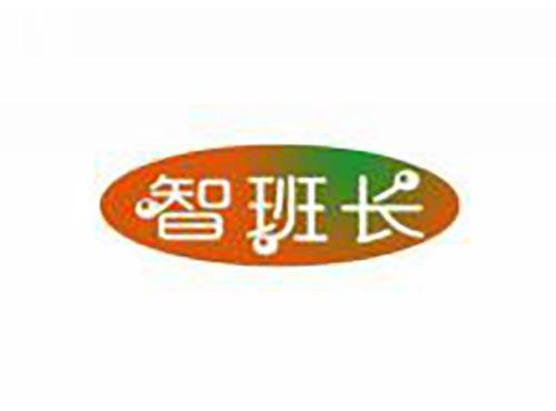 智班长