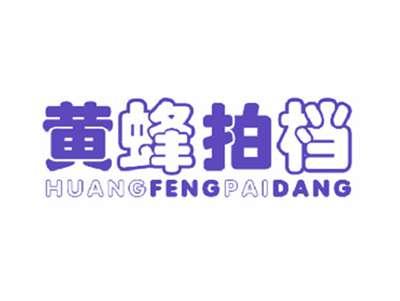 黄蜂拍档
