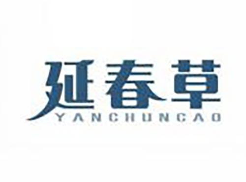延春草