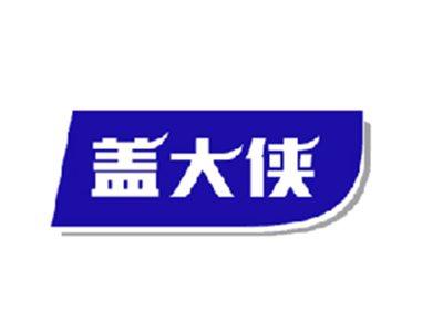 盖大侠